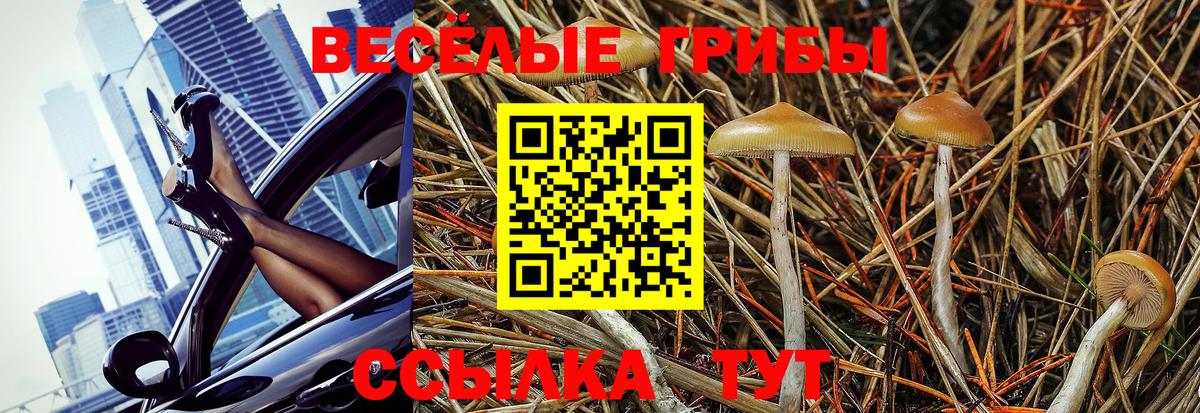 Кисловодск  Галлюциногенные грибы Psilocybe  Галлюциногенные грибы Cubensis  Вход с VPN 